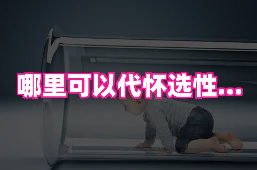 生殖助孕网站 3